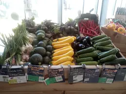 370-courgettes-27-06.webp
