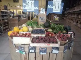 370-pasteques-necta-melon-27-06.webp